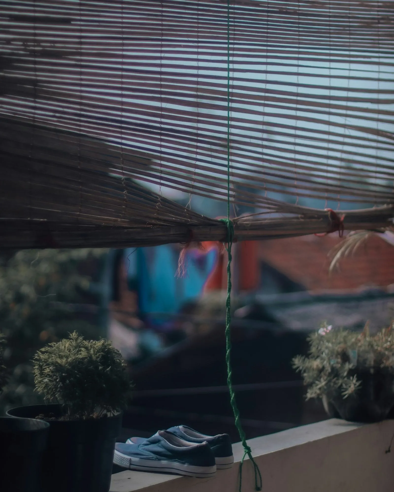 Bamboo chick blind half rolled up and tied with green cord above a balcony parapet with potted plants and a pair of shoes