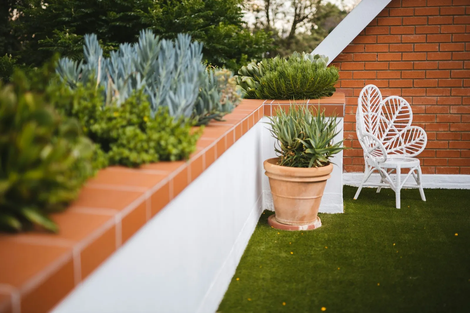 Terrace laid with artificial grass, edged by succulent planters, with a white wicker chair and a terracotta pot