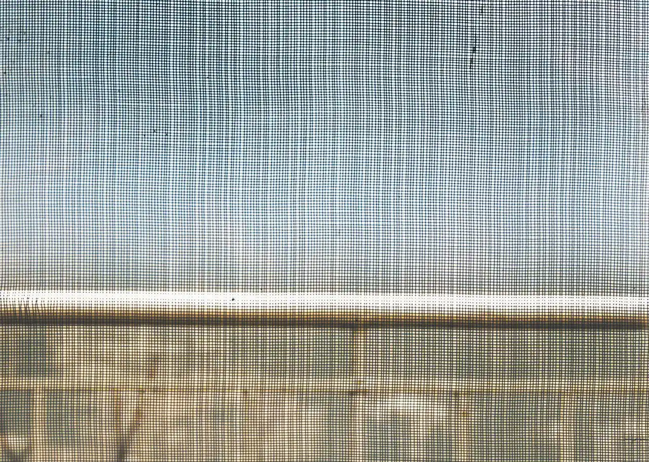 View through a fine mosquito mesh screen towards a balcony railing