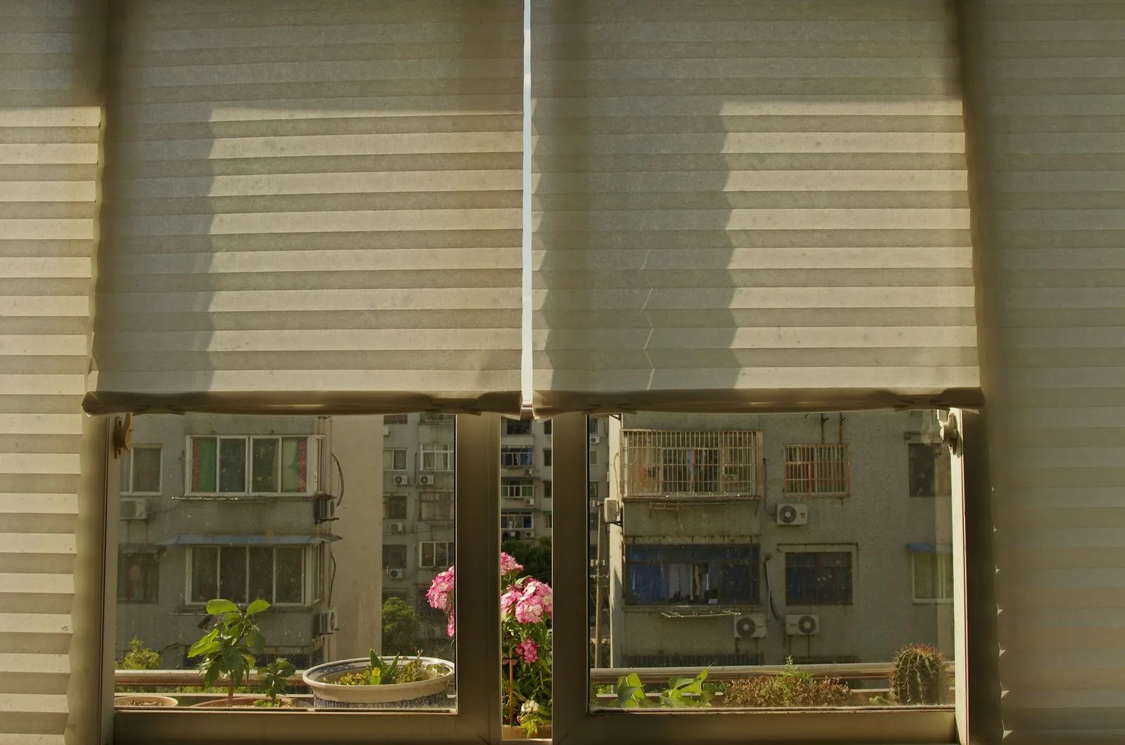 Two zebra blinds with alternating sheer and solid bands lowered over a sunny window, with apartment blocks and potted plants visible through the lower glass